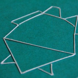 Carnet Tortue