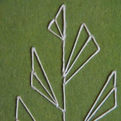 Carnet Plante
