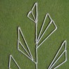 Carnet Plante