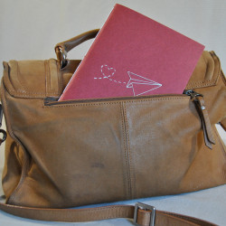 Carnet Avion