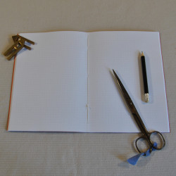 Carnet Libellule