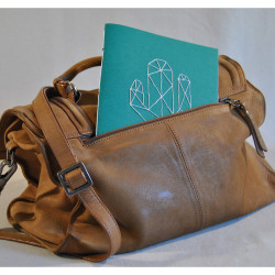 Carnet Cactus