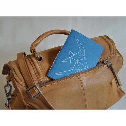 Carnet Poisson